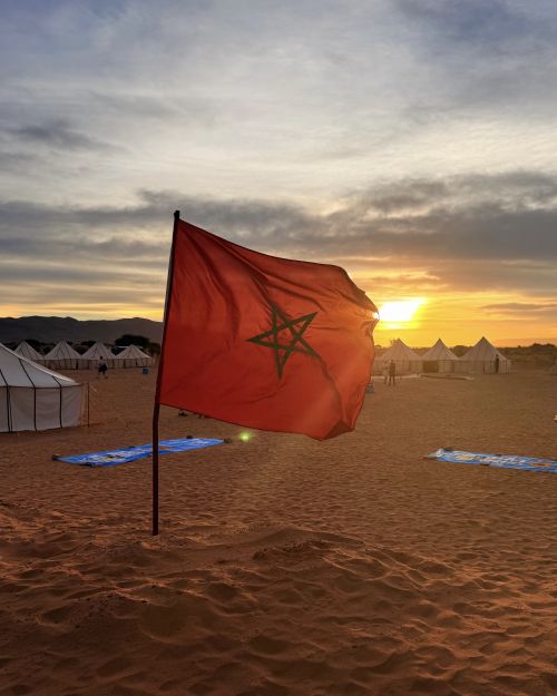 009cde1d-521f-4720-86b2-6441d5b00ef8-1